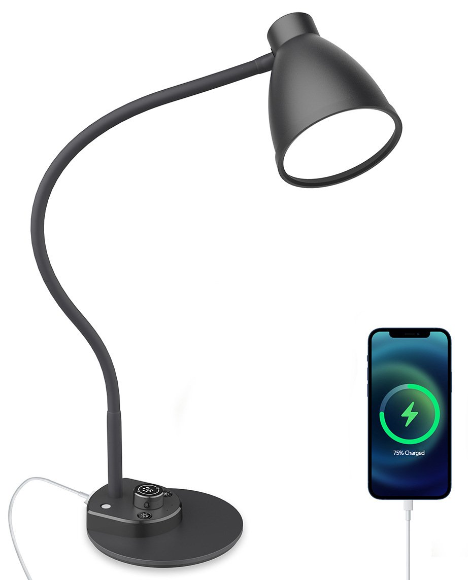 gooseneck lamp with flexible arm